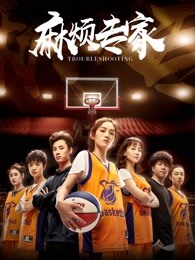 麻烦专家HD中字